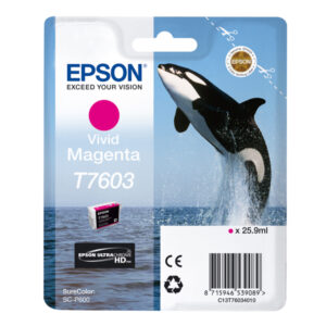 Epson - Cartuccia ink - Magenta - T7603 - C13T76034010 - 25,9ml
