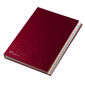 Classificatore numerico 1/31 - 643E - 24x34 cm - rosso - Fraschini