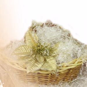 Paglietta - 200 gr - trasparente - PNP