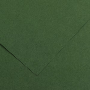 Foglio Colorline - 70x100 cm - 220 gr - verde abete - Canson