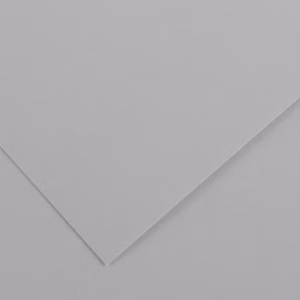 Foglio Colorline - 70x100 cm - 220 gr - grigio chiaro - Canson