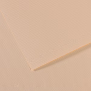 Foglio Mi-Teintes - A4 - 160 gr - conchiglia - Canson